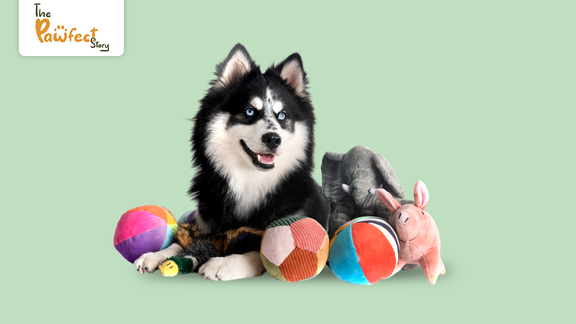 The Ultimate Guide to Toys Your Dog will not Destroy in 5 Minutes