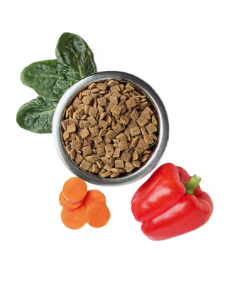 Nutrition