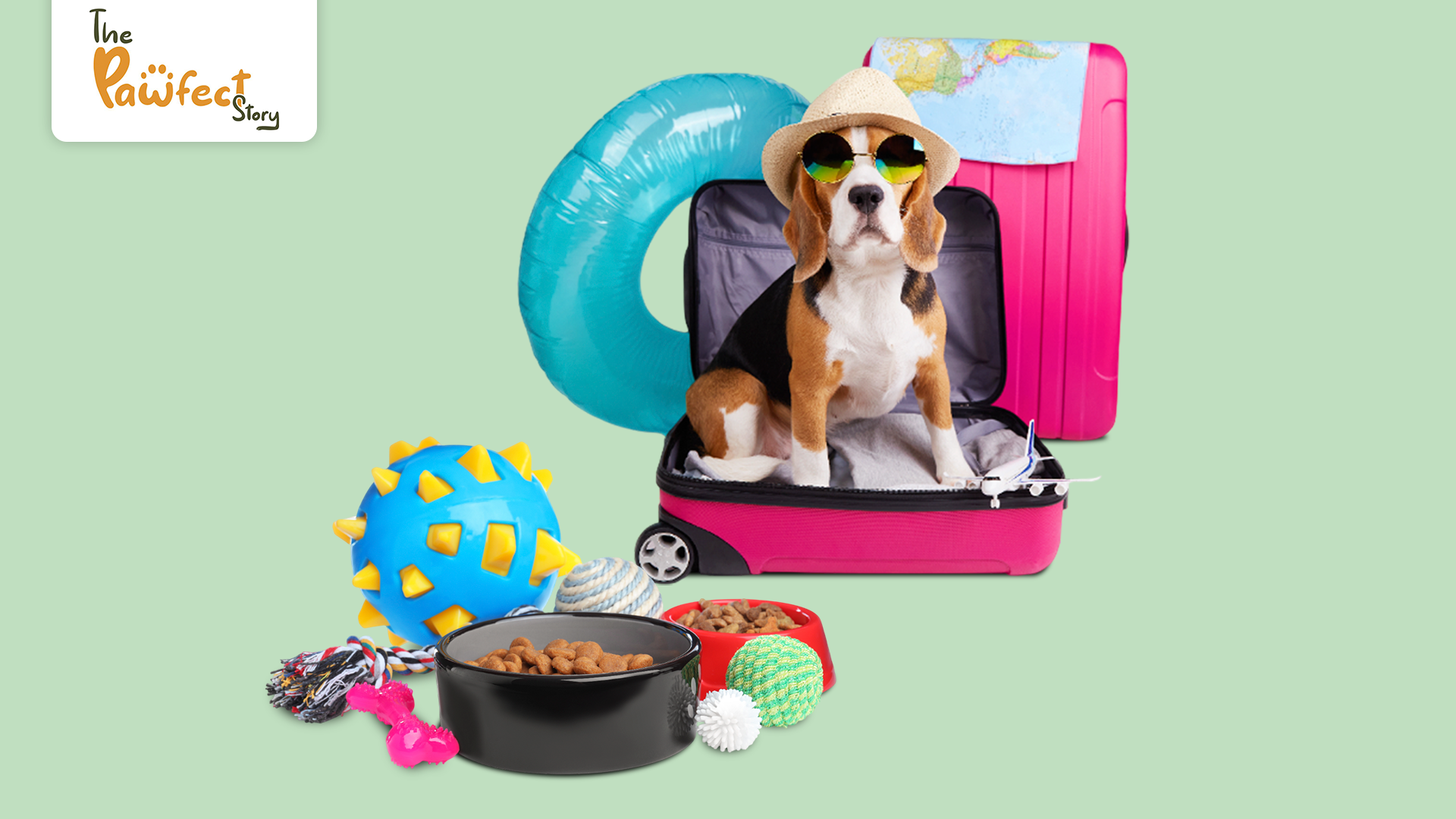 The Pawfect Travel Checklist: 10 Essentials for a Stress-Free Road Trip with Your Pet