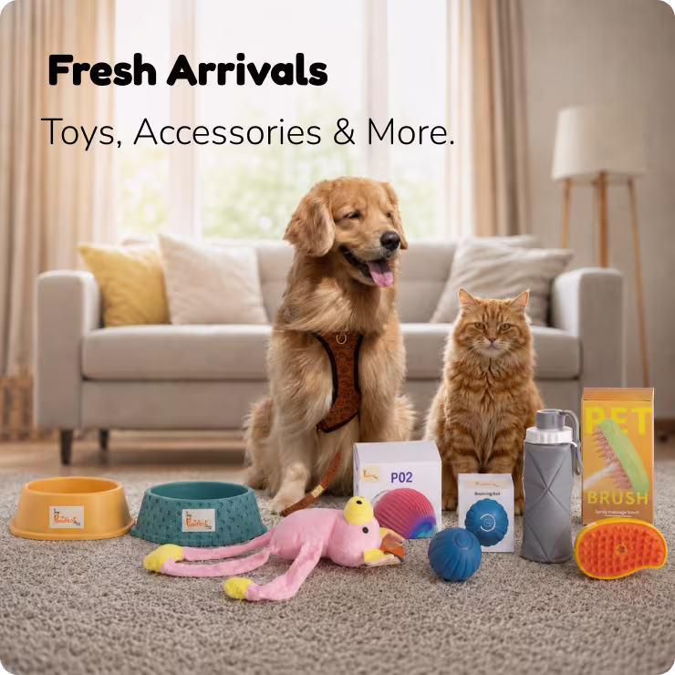 Pawfect banner