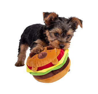 Nutrition